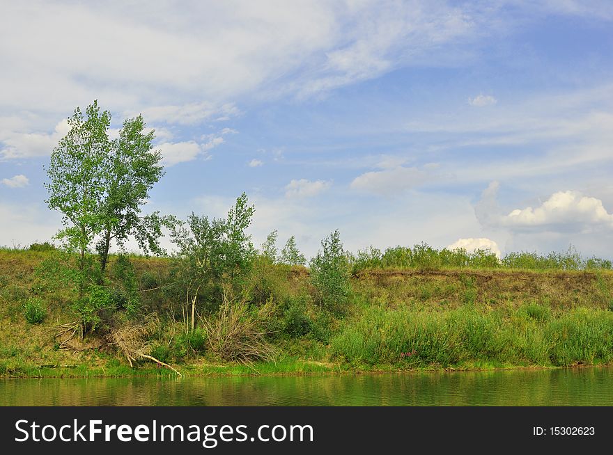 Trees on abrupt to river bank against the sky. Trees on abrupt to river bank against the sky