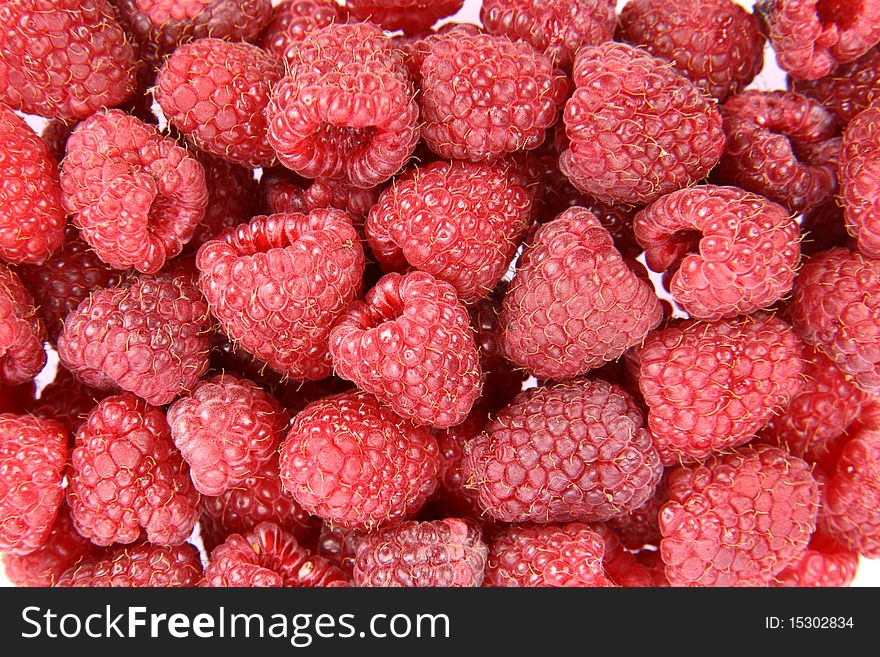 Raspberries background: lots of raspberries in close up