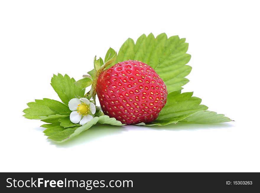 A red strawbeery with a flower on green leaves. A red strawbeery with a flower on green leaves