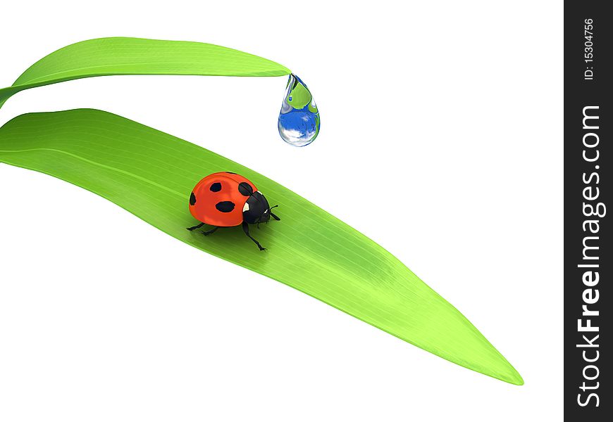 Ladybird over white background. 3d render