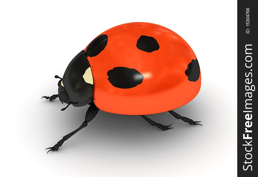 Ladybird Over White Background