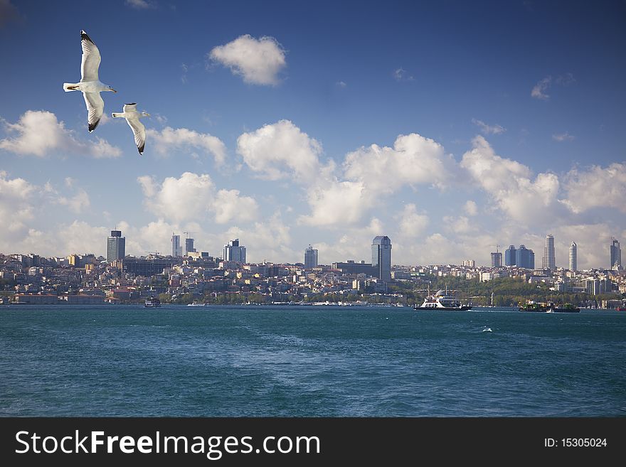 Contemporary city / skyscrapers, blue sky and seagulls / Istanbul / sea view. Contemporary city / skyscrapers, blue sky and seagulls / Istanbul / sea view