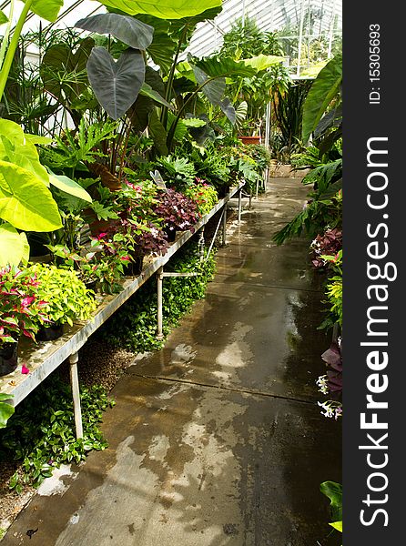 Greenhouse Walkway