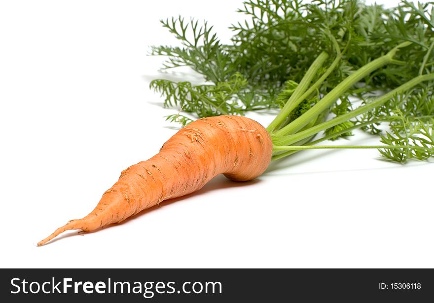 Carrots with tops isolated on a white background. Carrots with tops isolated on a white background.