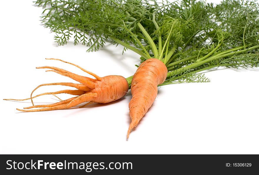 Two carrots with tops on white background. Two carrots with tops on white background.