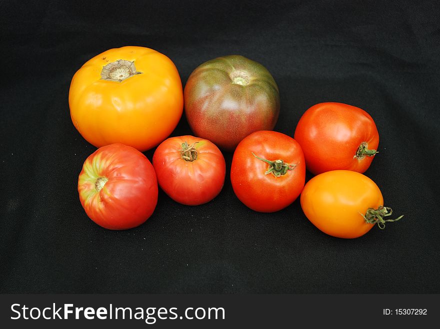 Heirloom tomato varieties on a black cloth. Heirloom tomato varieties on a black cloth