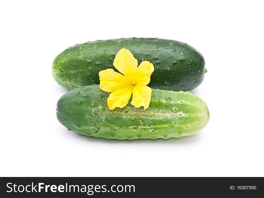 Fresh cucumbers with flower on white