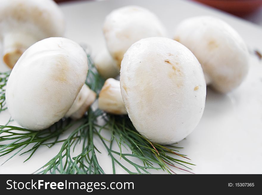 Mushroom champignon with green parsley leaves