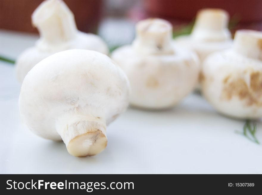 Some champignon with green parsley