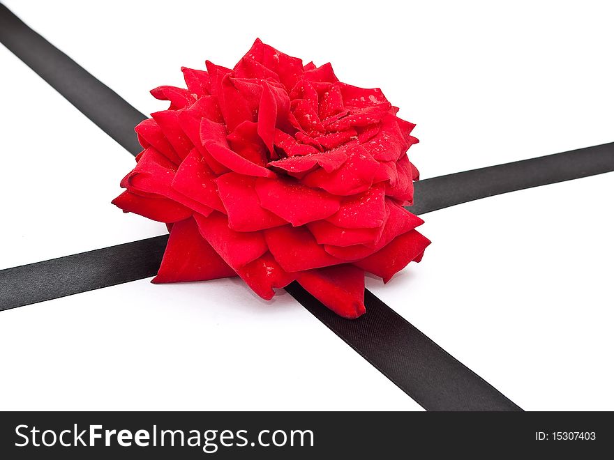 Red rose with black ribbon on white