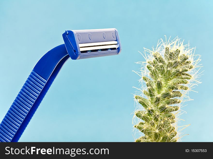 Blue safety shave and green spiny cactus - album orientation. Blue safety shave and green spiny cactus - album orientation.
