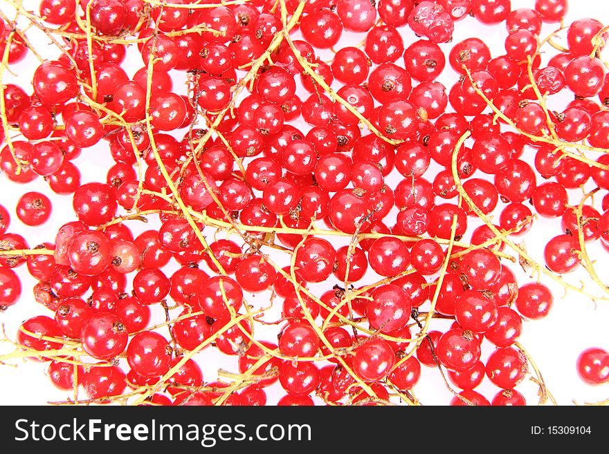 Red currants in close up background. Red currants in close up background
