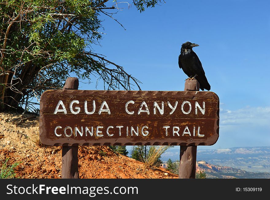 National Park Agua Canyon