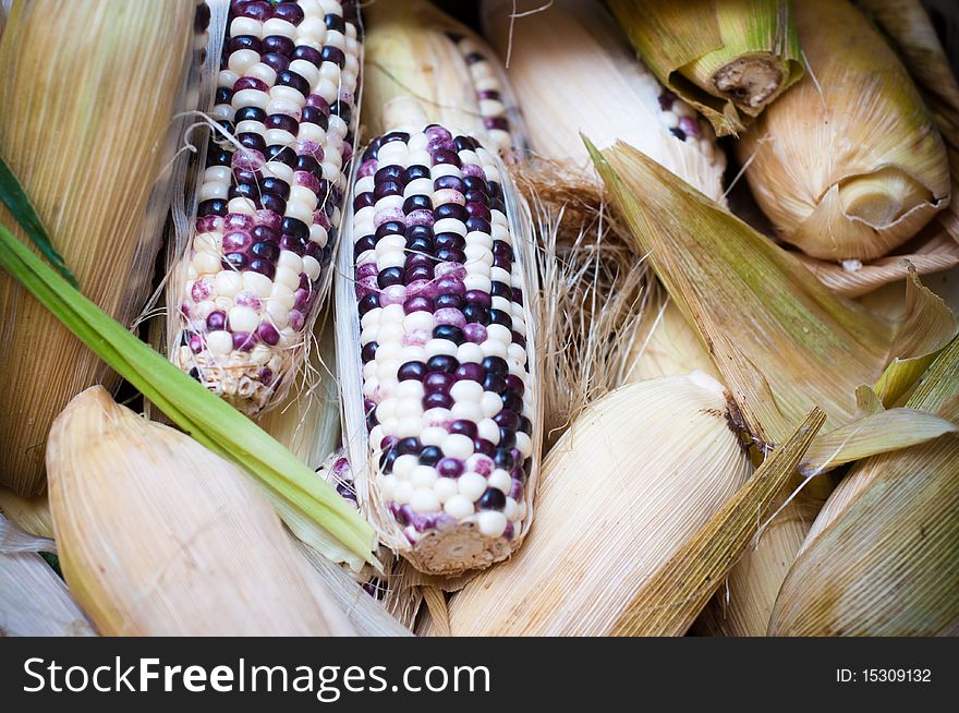 Fresh Indian corn for sale at a traditional market.