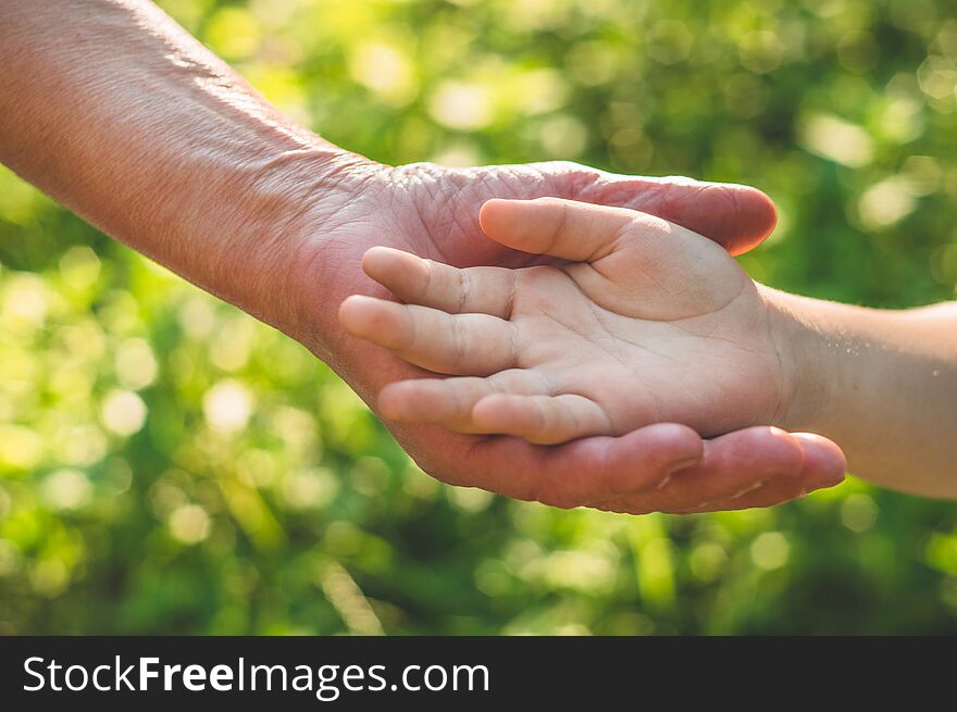 Childs hand and old hand grandmother. Concept idea of love family protecting children and elderly people grandmother