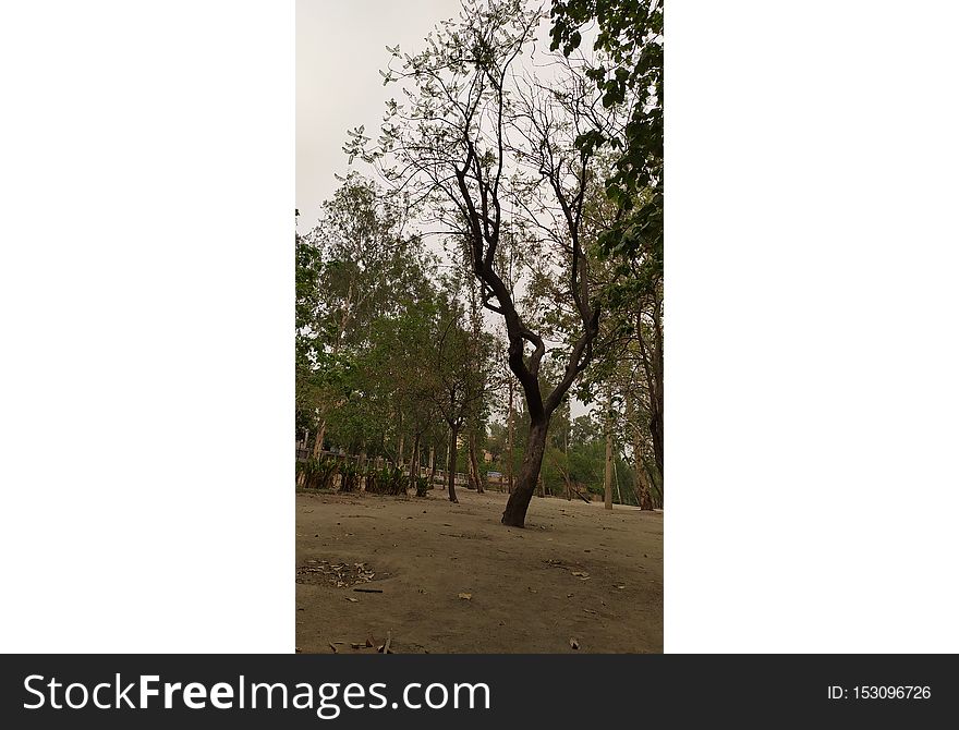 Beautiful Gardeen, Beautiful Place In India , Beautiful Birds