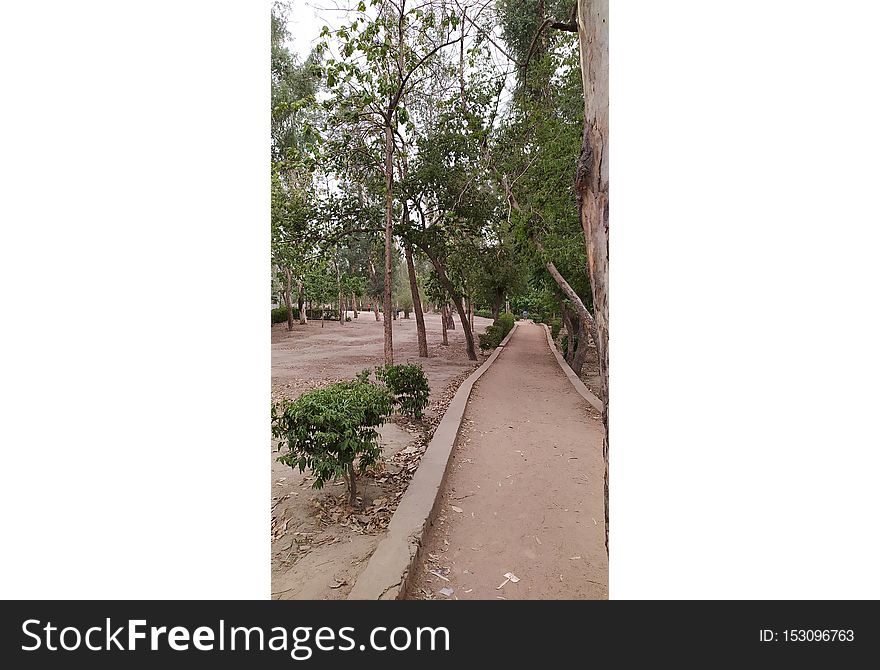 Beautiful Gardeen, Beautiful Place In India , Beautiful Birds