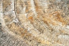 Old Wood Cut Royalty Free Stock Images