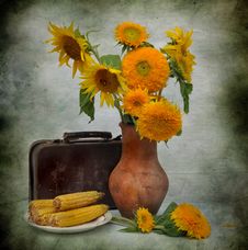 Still Life With Sunflowers And Old Suitcase Stock Photography Still Life With Sunflowers And Old Suitcase Stock Photography