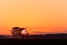 Silhouette Of Tree At Sunset Royalty Free Stock Photos