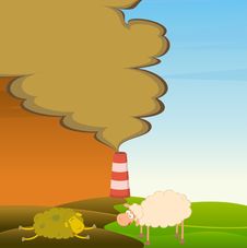Healthy Sheep Looks At A Dead Sheep Stock Image Healthy Sheep Looks At A Dead Sheep Stock Image