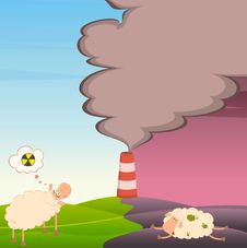 Healthy Sheep Looks At A Dead Sheep Royalty Free Stock Image Healthy Sheep Looks At A Dead Sheep Royalty Free Stock Image