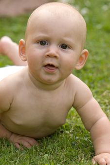 Baby Lying On The Grass Stock Image
