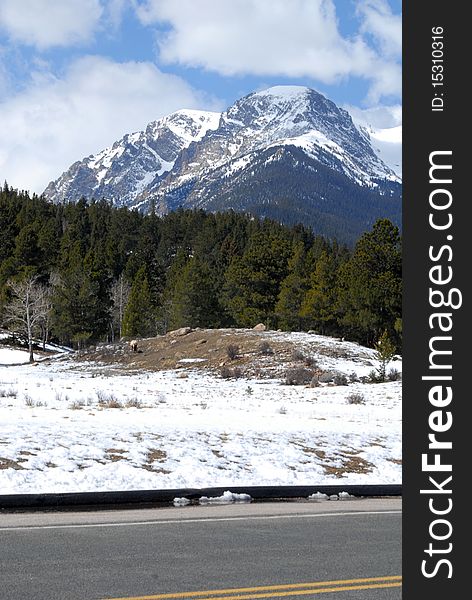 Beautiful snow covered peak behind a Fir covered mountain range. Beautiful snow covered peak behind a Fir covered mountain range.