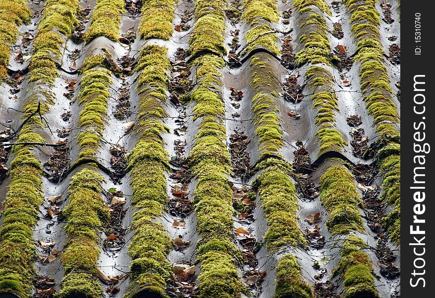 The old tiles roof of the house. The old tiles roof of the house