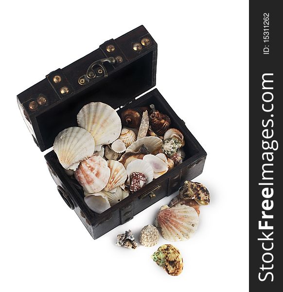 Wood chest with seashells on the white background