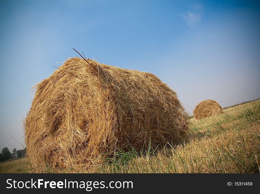 Hay bales on summer field