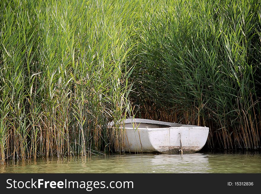 The abadoned boat near the reed