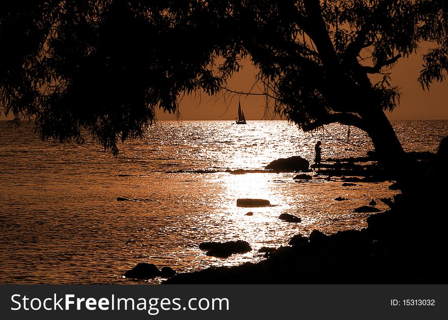 Sheen sea sunset under the tree with the sailer silhouette. Sheen sea sunset under the tree with the sailer silhouette