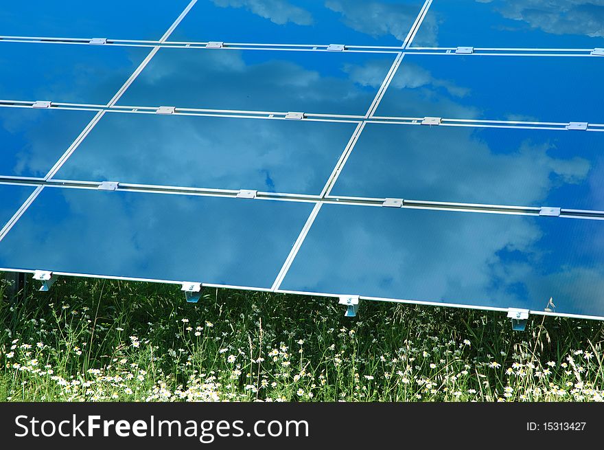 Solar Power Plant With Chamomile