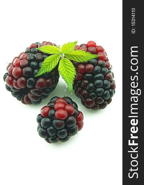 Three ripe blackberries with leaves on white background