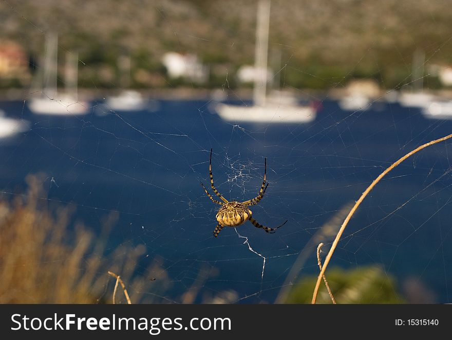 Spiders web in front of sailing boats