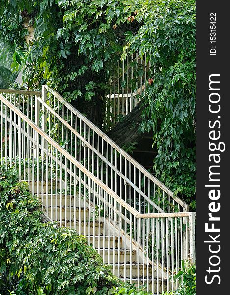 White stair and access in green liane surround, shown as geometric, green architecture concept and approach method.