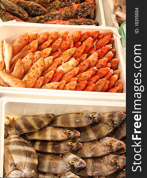 This is a photo of boxes with fish on the market