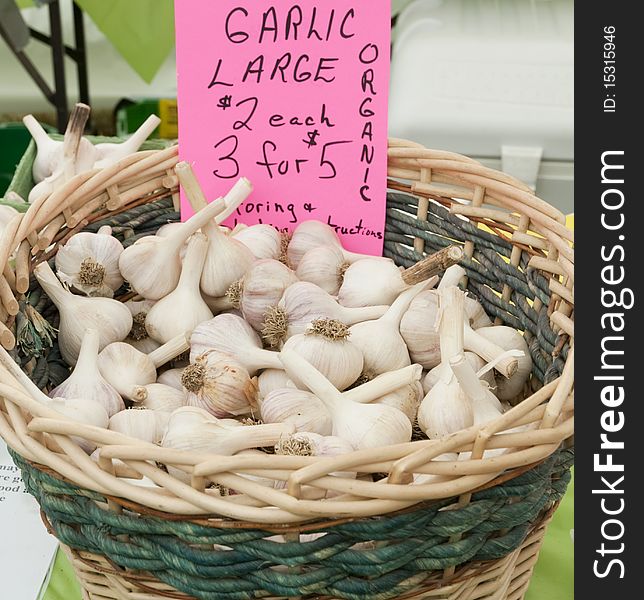 Garlic for sale at farmers market