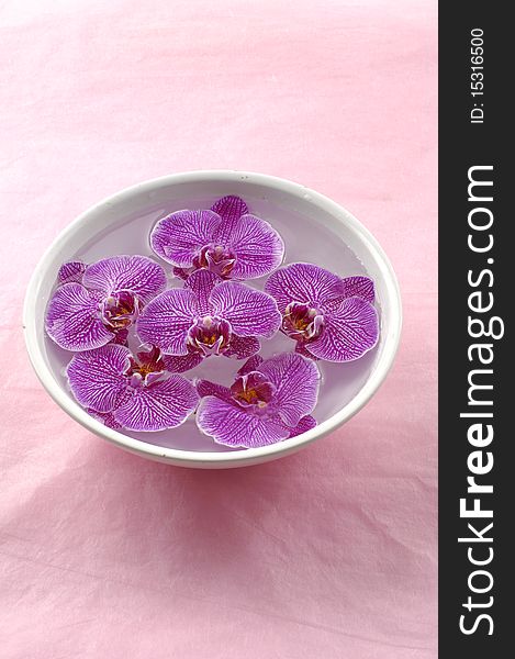 Bowl of orchid floating in a bowl of water. Bowl of orchid floating in a bowl of water