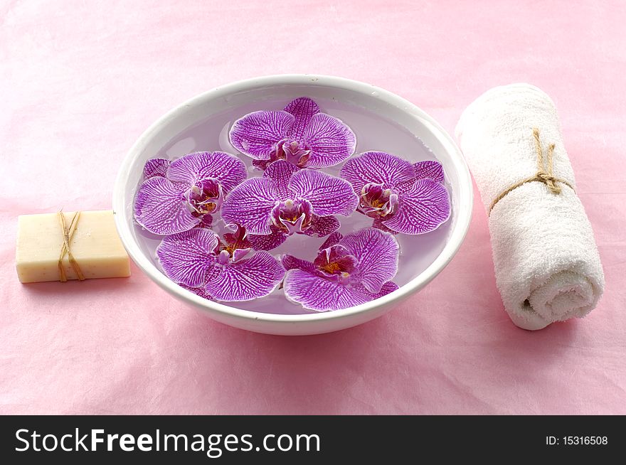 Spa and wellness objects on pink