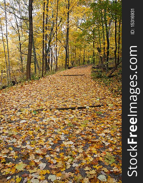 A Quiet Walking Path Through The Woods In Autumn, Sharon Woods, Southwestern Ohio. A Quiet Walking Path Through The Woods In Autumn, Sharon Woods, Southwestern Ohio