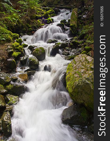 High flowing spring stream during the snow melt in the mountains. High flowing spring stream during the snow melt in the mountains