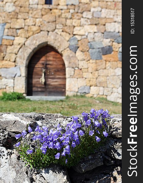 Chapel and flower in french mountain. Chapel and flower in french mountain