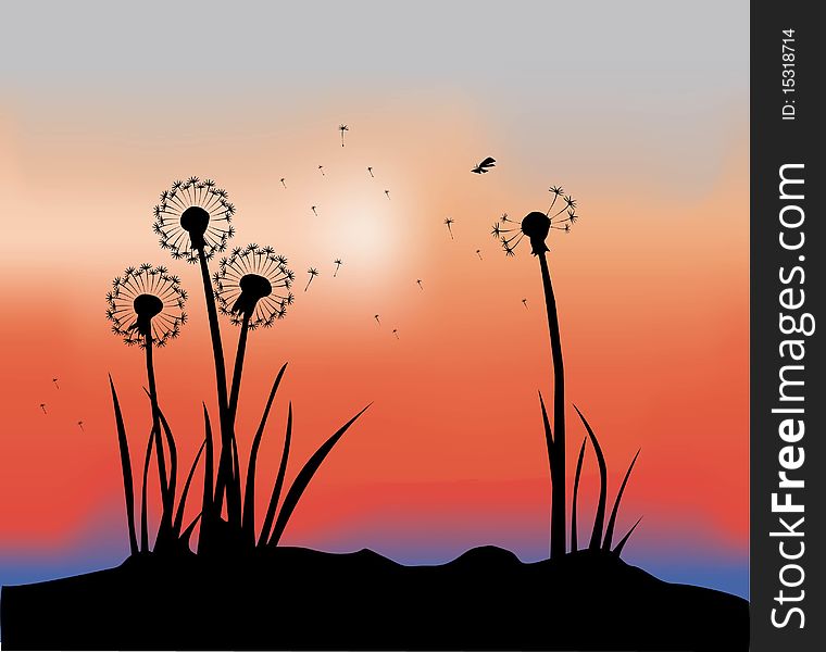Vector background with silhouettes of flowers. Vector background with silhouettes of flowers