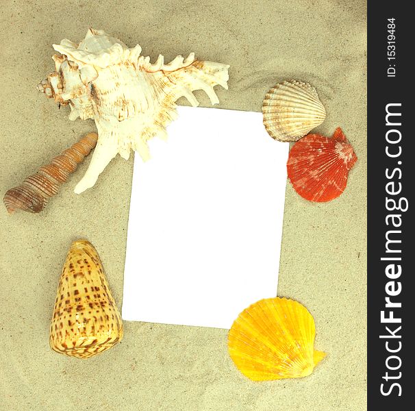 Beach concept with blank postcard with free space for your text
