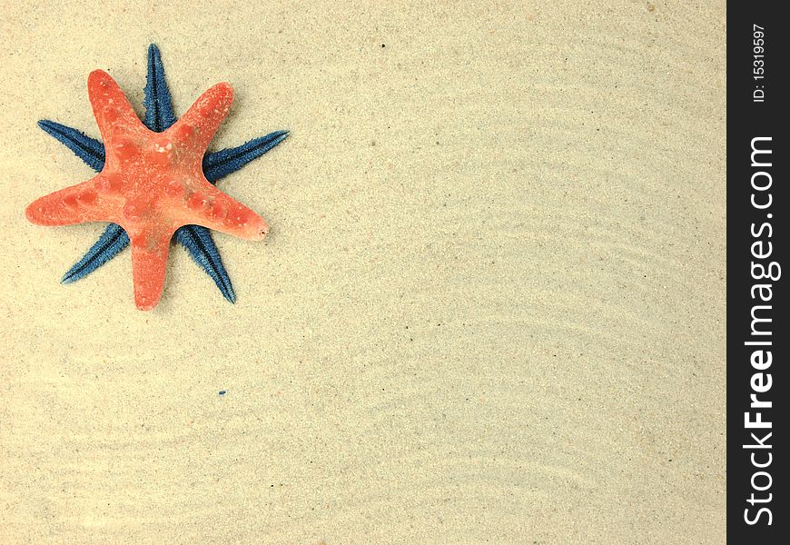 Beach concept with starfish on sand. Beach concept with starfish on sand