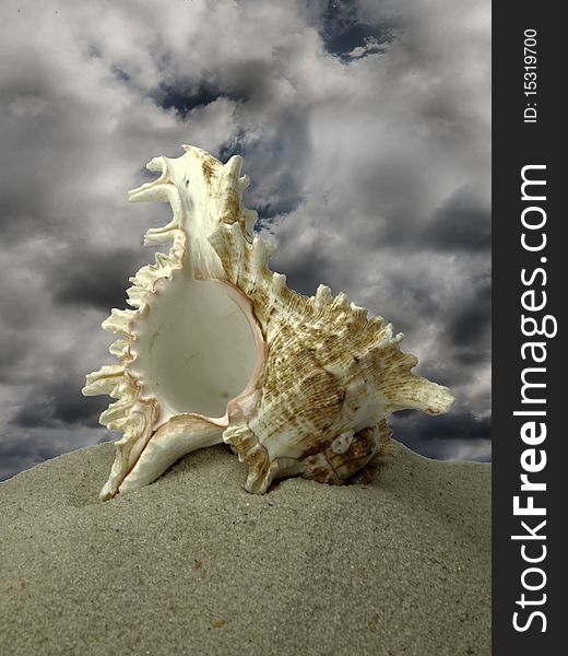 Beach concept with shell and dark clouds on background. Beach concept with shell and dark clouds on background