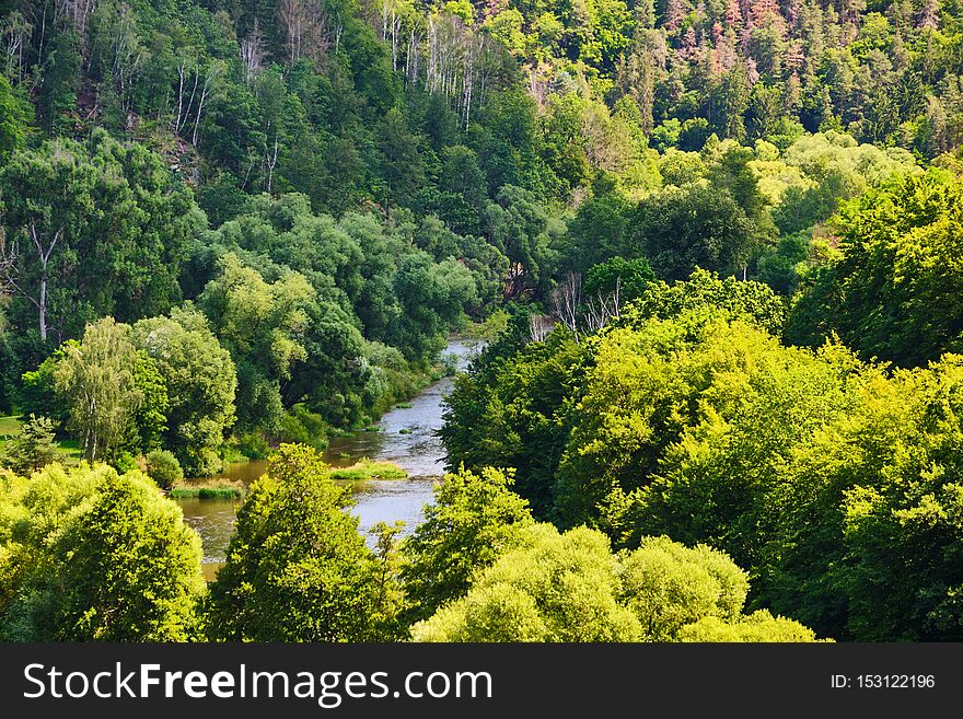 View on river Sazava flowing through green forest near Cesky Sternberk