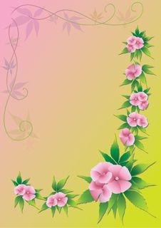 Pink Flowers Stock Photos Pink Flowers Stock Photos